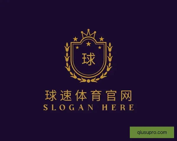 发现球速体育官网